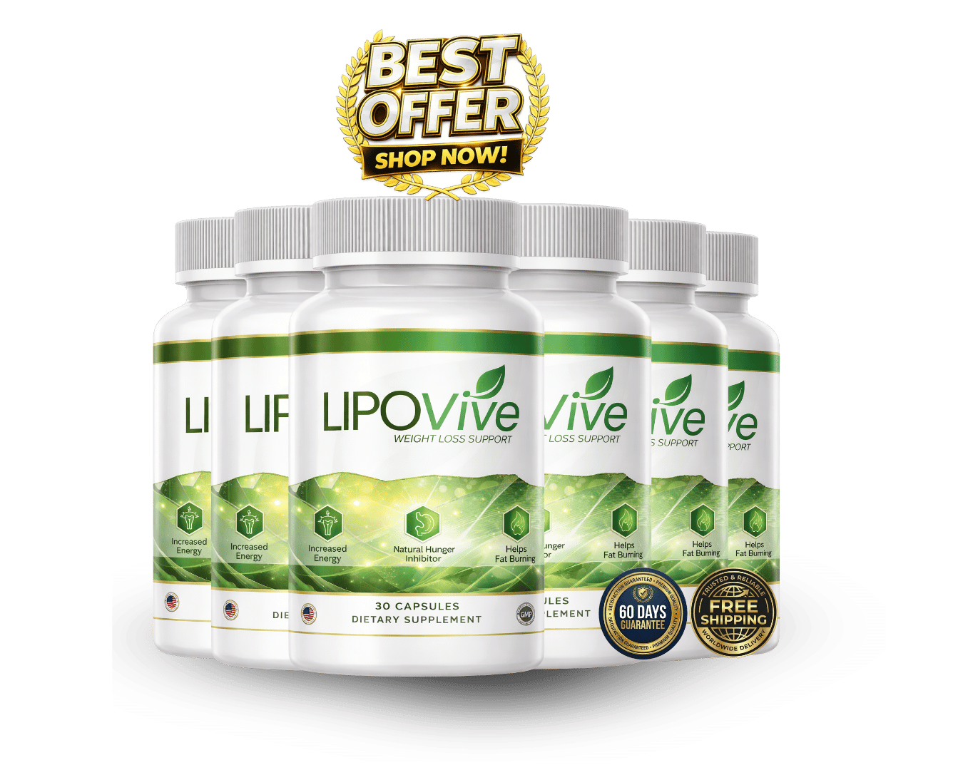 LipoVive 6 Bottles