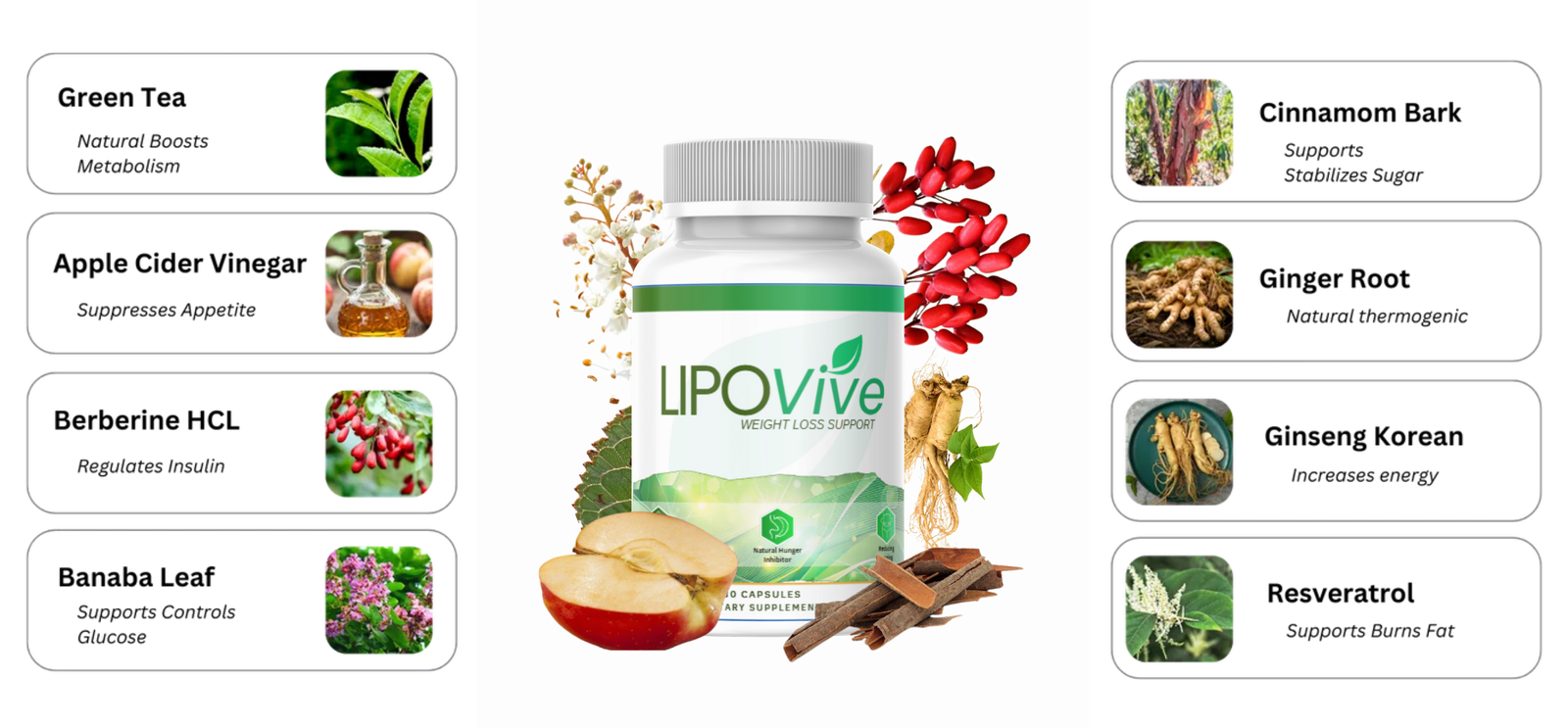 LipoVive ingredients